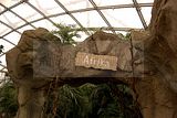 leipzig zoo-01_07_2011_gondwanaland_125